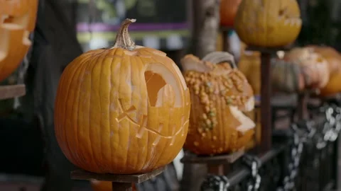 Explore creative and unique Halloween pumpkin decorations for a festive autumn Vidéo 314257276