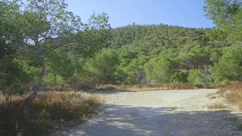 Explore a dirt road in Benidorm surrounded by trees and hills under clear skies Stock Footage 337151978