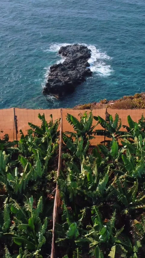 Explore diverse landscapes from green fields to serene deserts Stock Footage 314153033