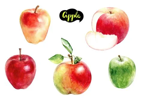 Explore a Diverse Selection of Apple Varieties Depicted in an Artistic Illustrazione stock