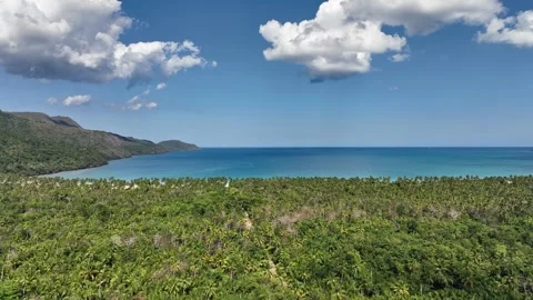 Explore this drone flight between plantations and palm trees towards the Vidéo 267964011