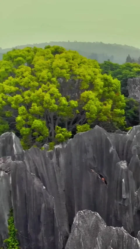 Explore a drone view of the Stone Forest in Kunming, China Vídeos de archivo 335075458