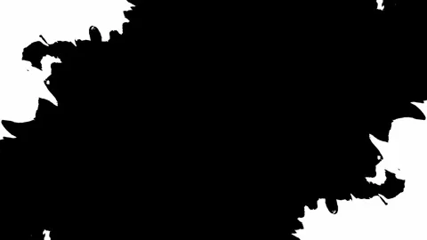 Explore Dynamic Black Ink Splash Elements Designed for Creative and Artistic Use Stock Footage 305989732