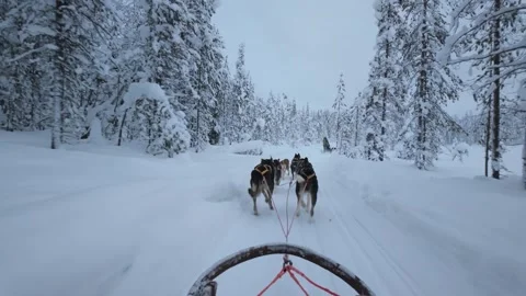 Explore the enchanting winter trails of Akaslompolo, Finland with husky sledding 스톡 동영상 337376905