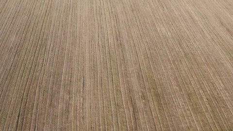 Explore an expansive farm field captured from above during the late afternoon Stock Footage 312714011