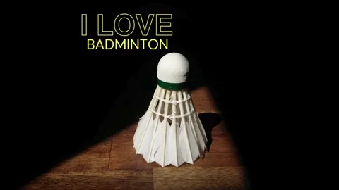 Explore the game, the athletes, and learn about the thrilling activity of p.. Stock Footage 277328936