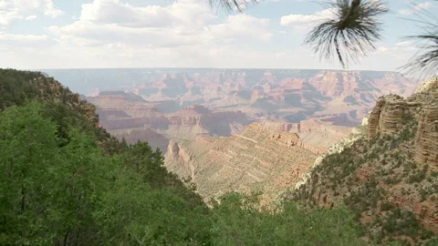 Explore the grand canyons bright beauty surrounded by lush plants Stock Footage 321602807