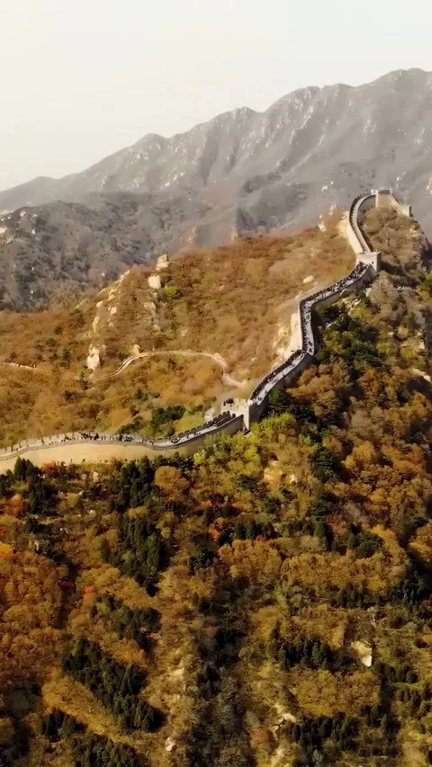 Explore Great Wall of China from above while visiting lush landscape Vídeos de archivo 335075964