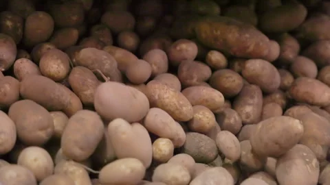 Explore harvesting and processing fresh potatoes in a farm factory from Stock Footage 276529438