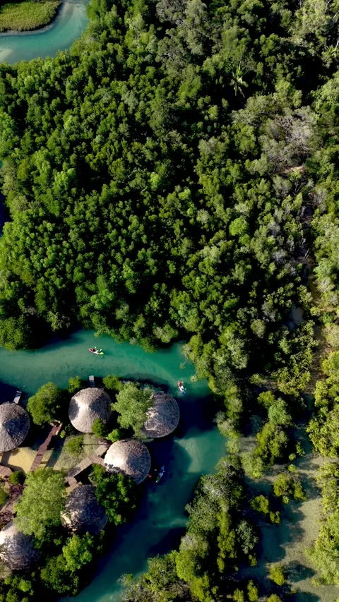 Explore the hidden paradise of Koh Phayam Thailand with lush greenery and serene Vídeos de archivo 324613906