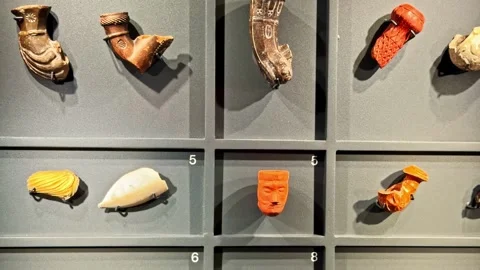 Explore Historic Artifacts at Krakow's Wawel Royal Castle Museum Vidéo 326343084