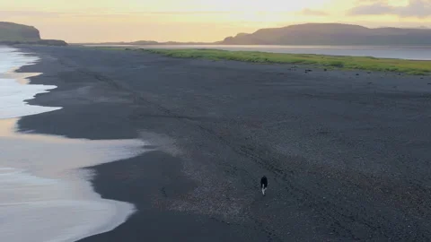Explore Icelands remote coastline with stunning aerial drone shots showcasing Stock Footage 278715042