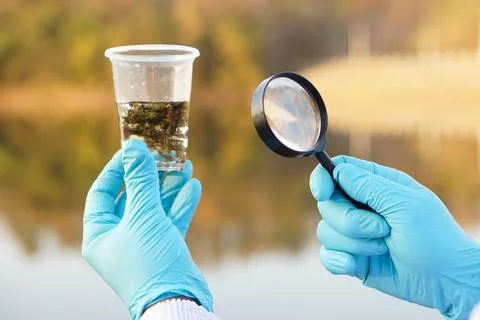 Explore, inspect water quality Stock Photos