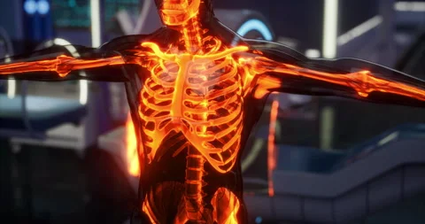 Explore the intricate details of the human skeletal system in vivid anatomy Vídeos de archivo 304515740