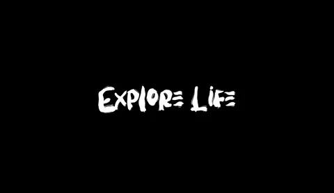 Explore Life Grunge Bold Brush Typography Text Animation On Black Background Stock Footage 286944153
