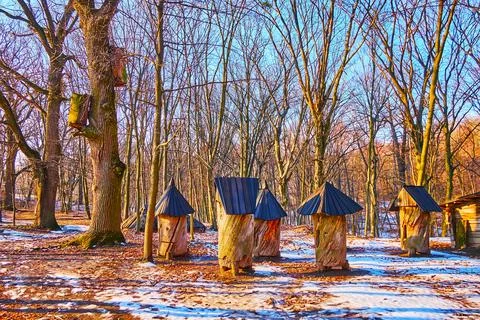 Explore log hives on the forest glade, Pyrohiv Skansen, Kyiv, Ukraine 스톡 사진