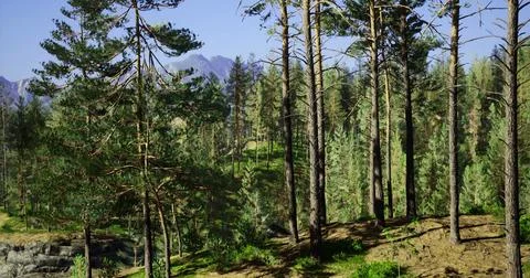 Explore a lush forest landscape featuring tall trees and distant mountains Stock Illustration