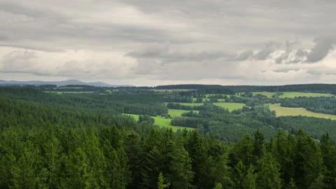 Explore the lush green forests and rolling hills of the countryside Stock Footage 318051663