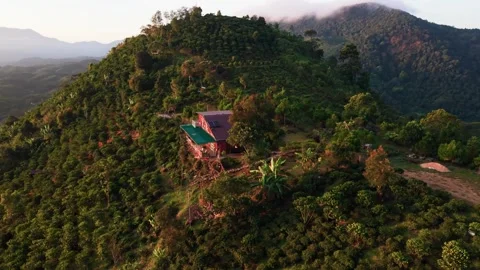 Explore the lush mountain landscape with a coffee plantation from a high Видео 331051526