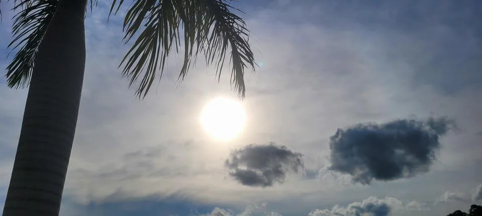 "Explore the magic of sunset on a tropical beach among coconut trees. A cap.. Stock Photos