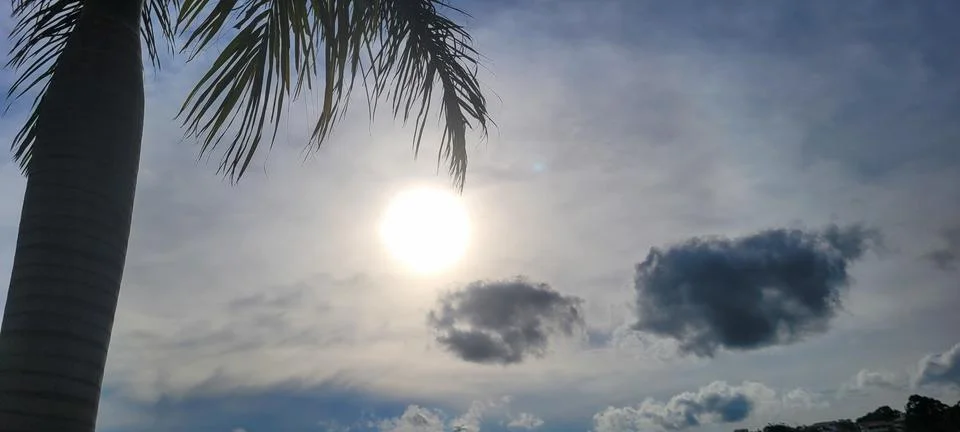 "Explore the magic of sunset on a tropical beach among coconut trees. A cap.. Stock-Fotos