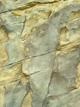 Explore the mesmerizing textured rock surface with stunning golden hues and i Stock Photos
