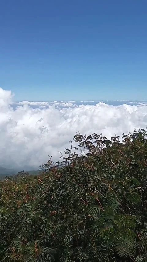 Explore Mount Stock Footage 219994920