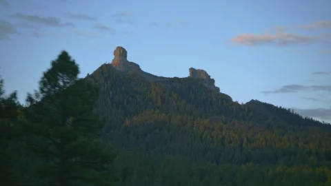 Explore mountain trees while driving through stunning landscapes Stock Footage 288586944