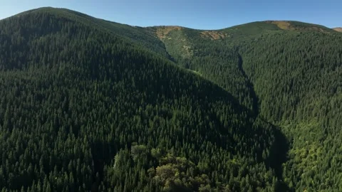 Explore mountain views and lush forests in a vibrant green landscape Video stock 327445833