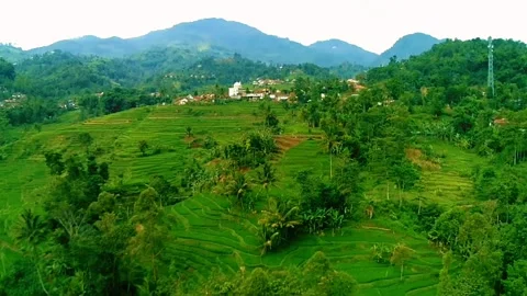 Explore nature Stock Footage 239934996