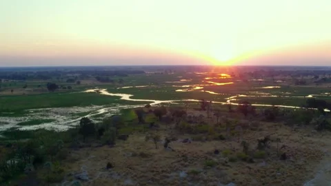 Explore the okavango delta at sunset: nature's beauty unfolds daily Stock Footage 326001164