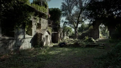 Explore an old building surrounded by trees and nature in the afternoon Stock Footage 327938458