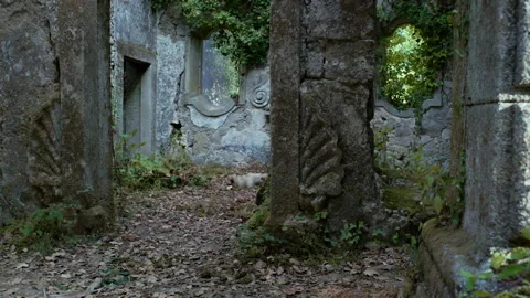 Explore an old stone wall with glowing symbols in the forest at dusk Stock Footage 327947278