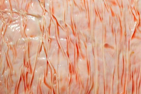 Explore our in depth look at the meat industry,featuring a closeup view of Foto stock