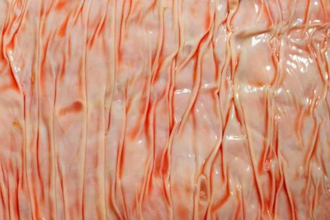 Explore our in depth look at the meat industry,featuring a closeup view of Foto stock