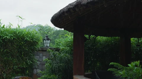 Explore owning slice of paradise with this tropical backyard grill house Stock Footage 266122131