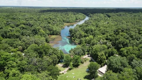 Explore the Rainbow River from above with this beautiful drone shot Stock Footage 279106429