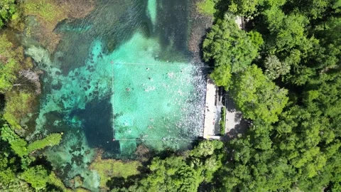 Explore the Rainbow River from above with this beautiful drone shot Stock Footage 279106634
