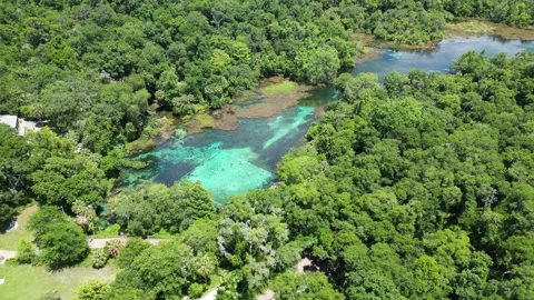 Explore the Rainbow River from above with this beautiful drone shot Stock Footage 279106638