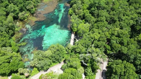 Explore the Rainbow River from above with this beautiful drone shot Stock Footage 279106639