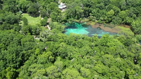 Explore the Rainbow River from above with this beautiful drone shot Stock Footage 279106640
