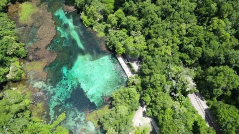 Explore the Rainbow River from above with this beautiful drone shot Stock Footage 279106641