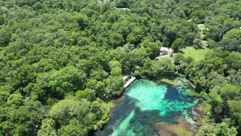 Explore the Rainbow River from above with this beautiful drone shot Stock Footage 279107714