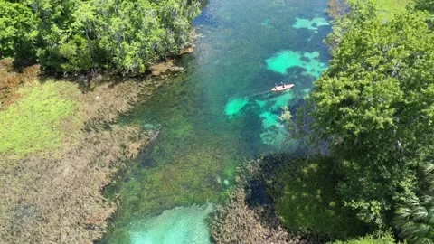 Explore the Rainbow River from above with this beautiful drone shot Stock Footage 279107716