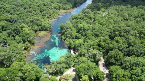 Explore the Rainbow River from above with this beautiful drone shot Stock Footage 279107845