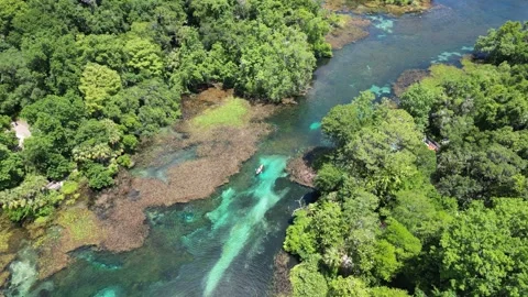 Explore the Rainbow River from above with this beautiful drone shot Stock Footage 279107912