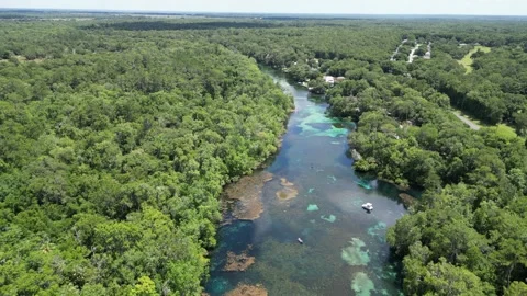 Explore the Rainbow River from above with this beautiful drone shot Stock Footage 279108991