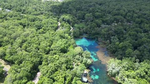 Explore the Rainbow River from above with this beautiful drone shot Stock Footage 279109218