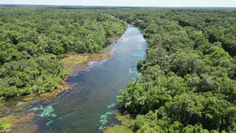 Explore the Rainbow River from above with this beautiful drone shot Stock Footage 279109220