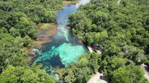 Explore the Rainbow River from above with this beautiful drone shot Stock Footage 279109354